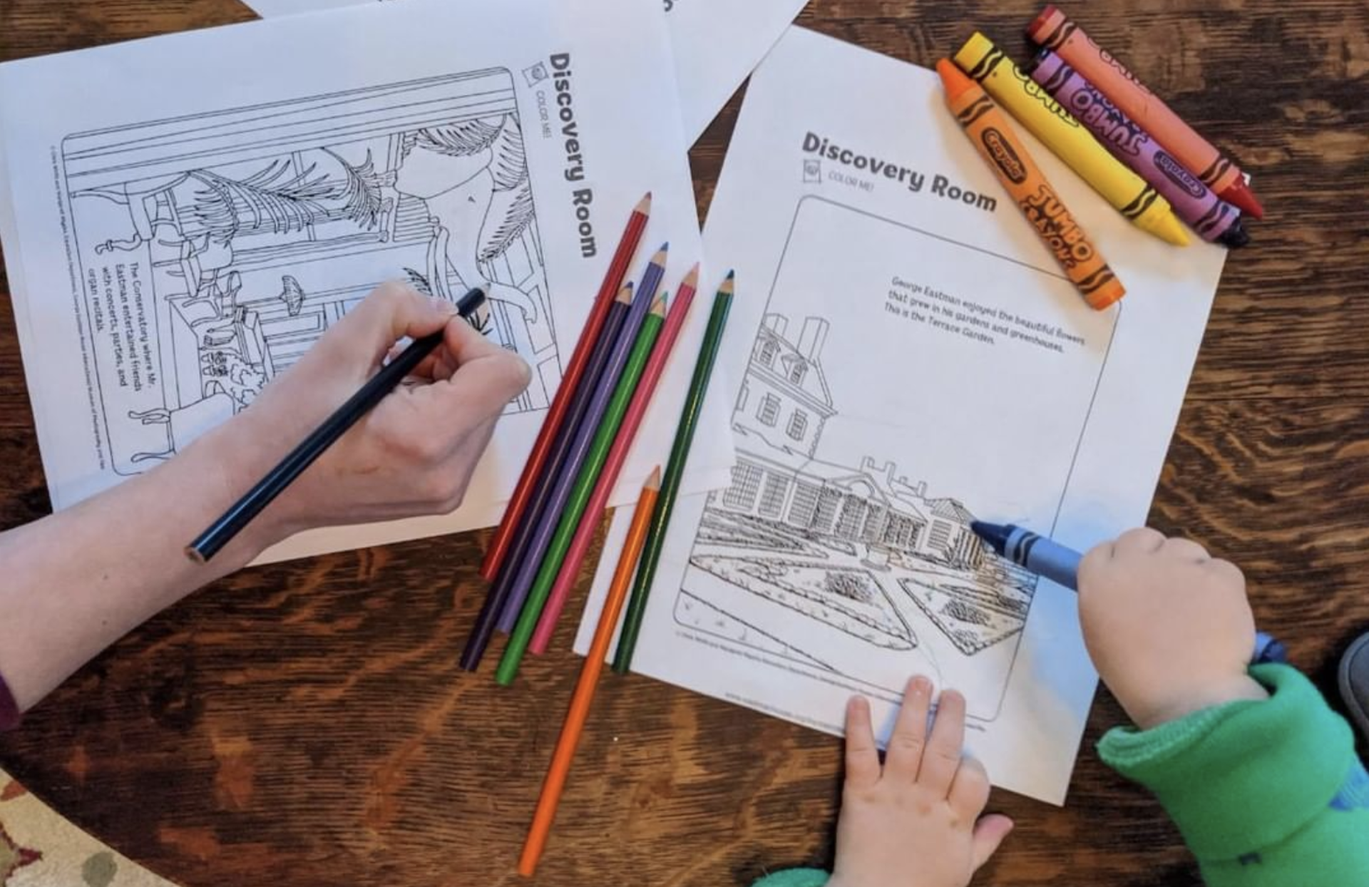 Hands coloring various pages