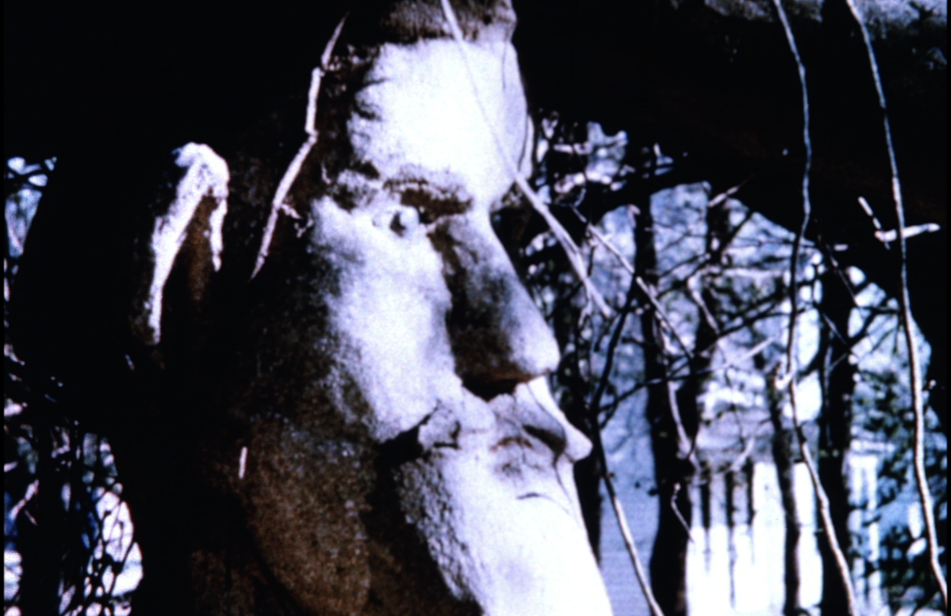 Still from Montage IV