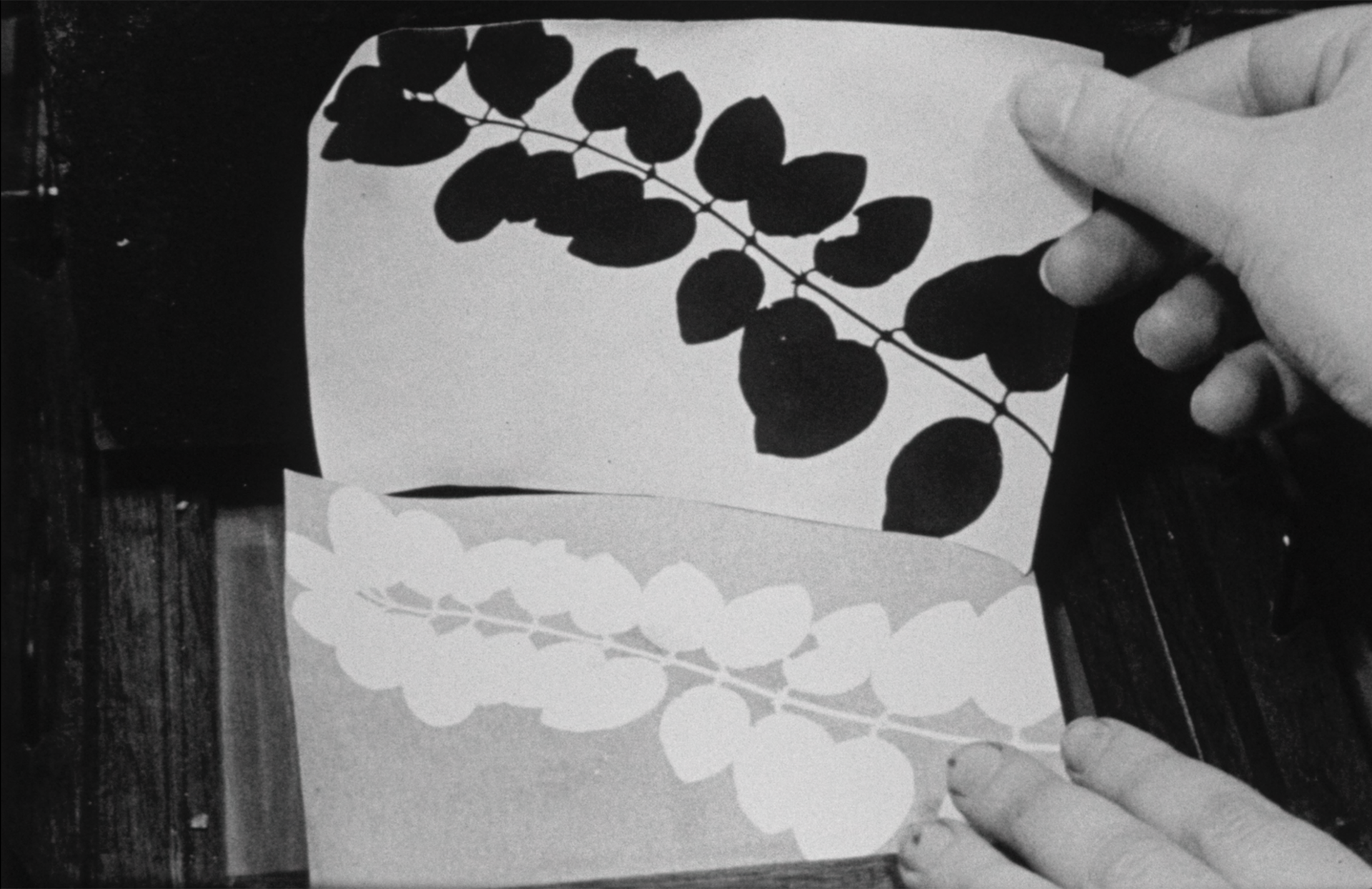 Still from Negatives on Paper: Talbot's Process