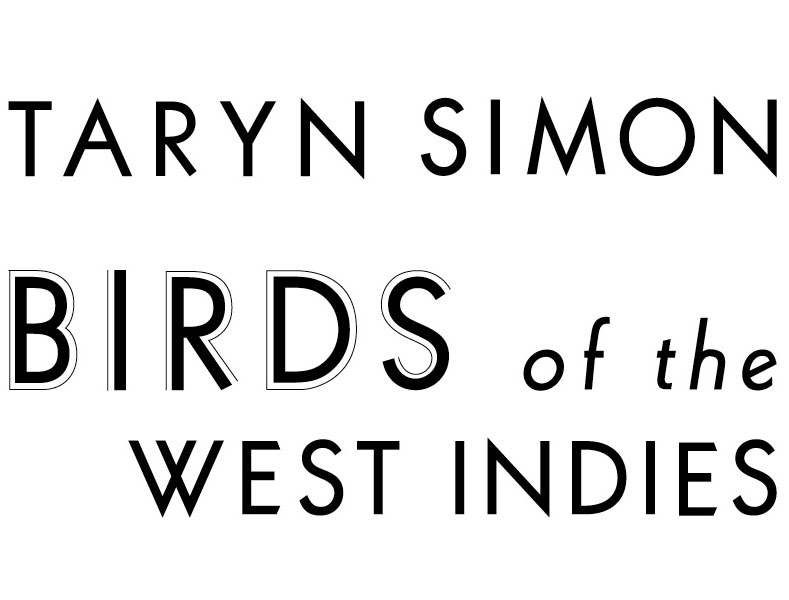 Taryn_birds-title-centered.jpg