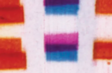 Film clipping of Len Lye film with abstract shapes in different colors