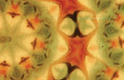 Film clipping with abstract different colored shapes
