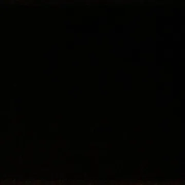 black box