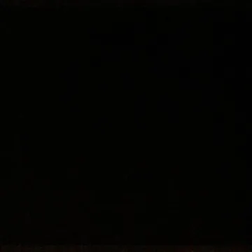 black box