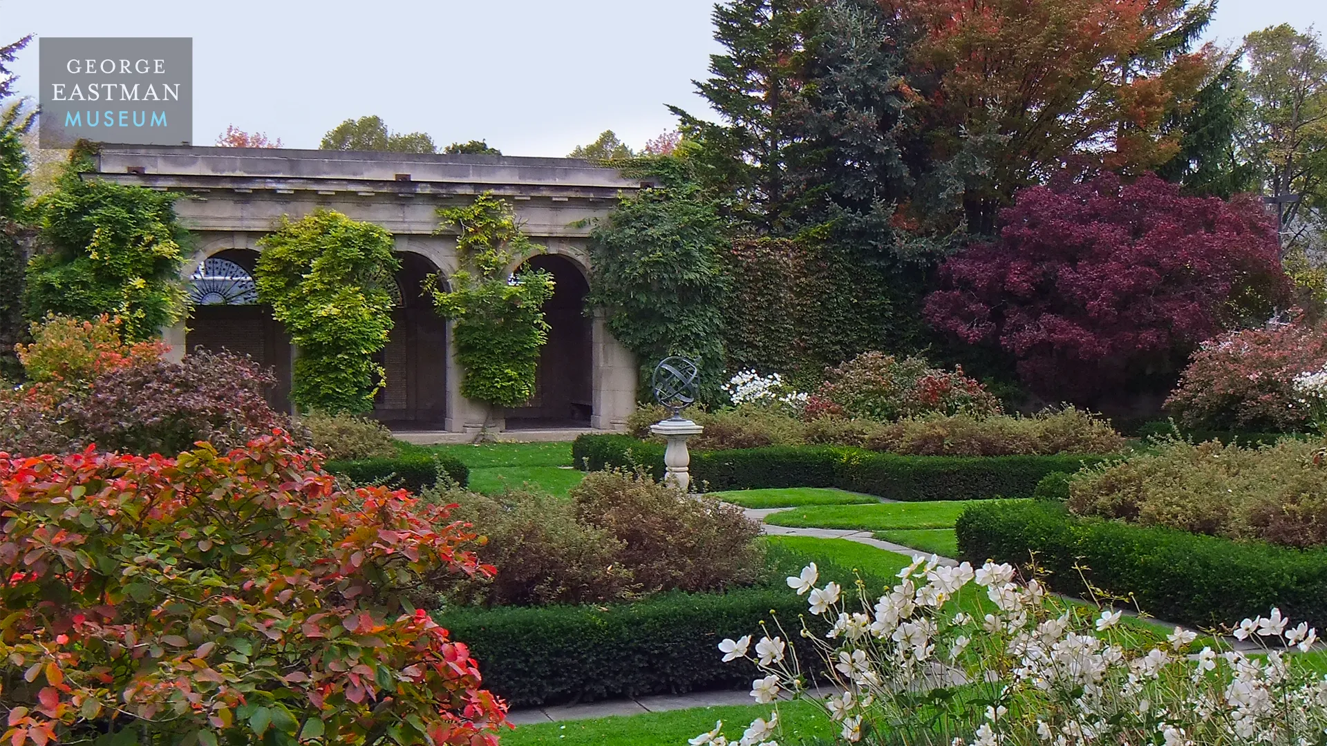 Zoom Background of the West Garden