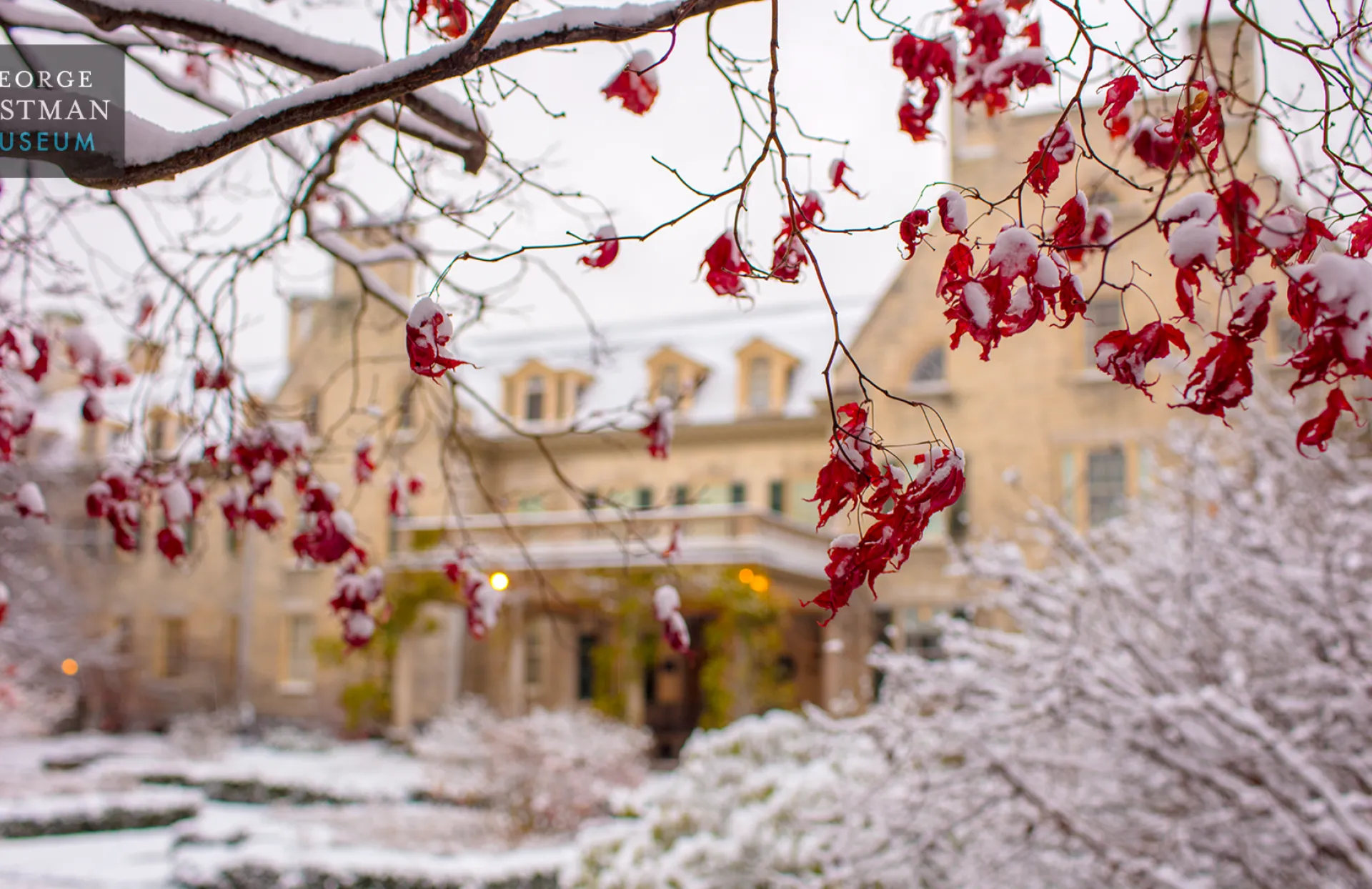 GEM Mansion in Snow