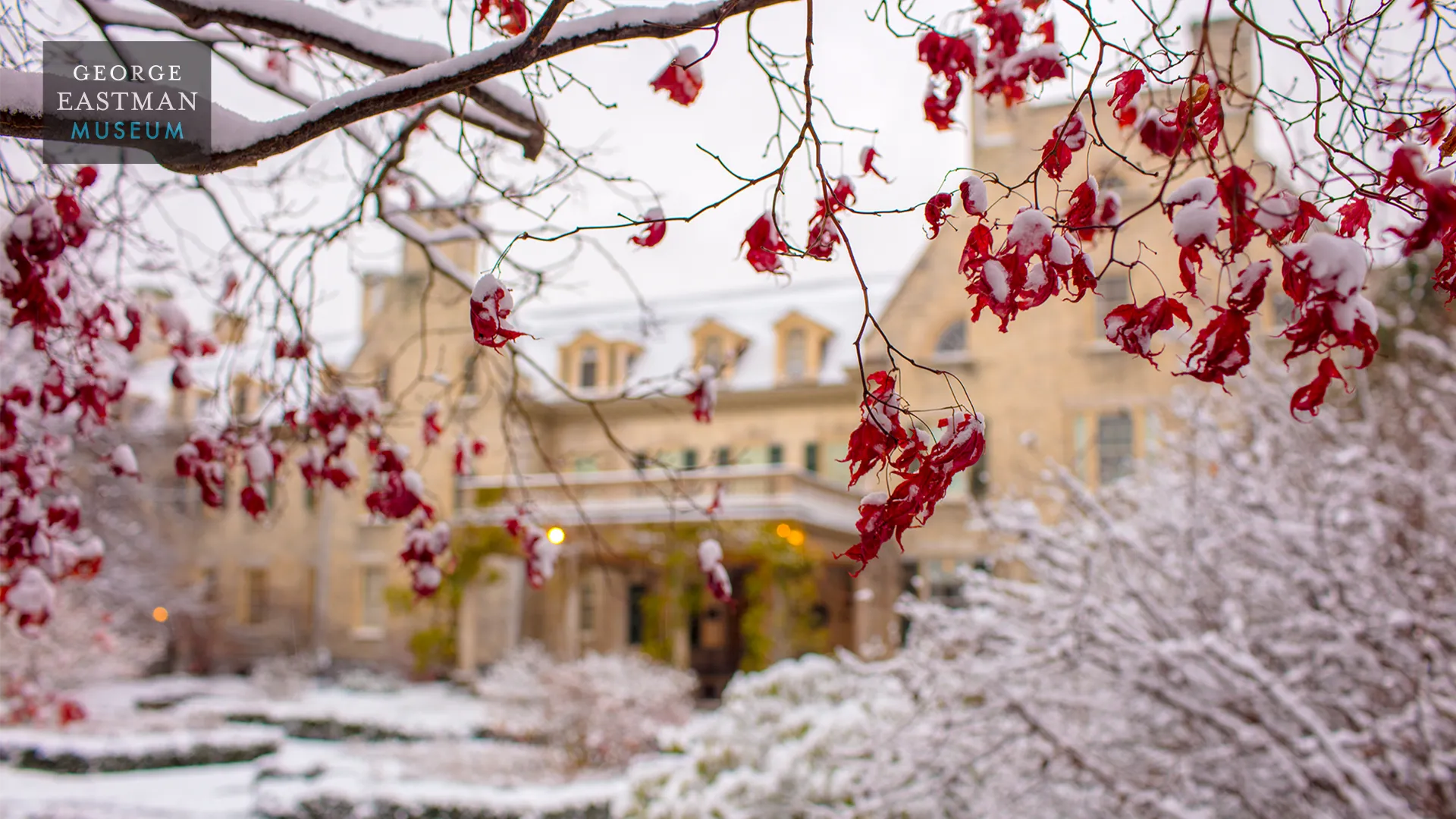 GEM Mansion in Snow