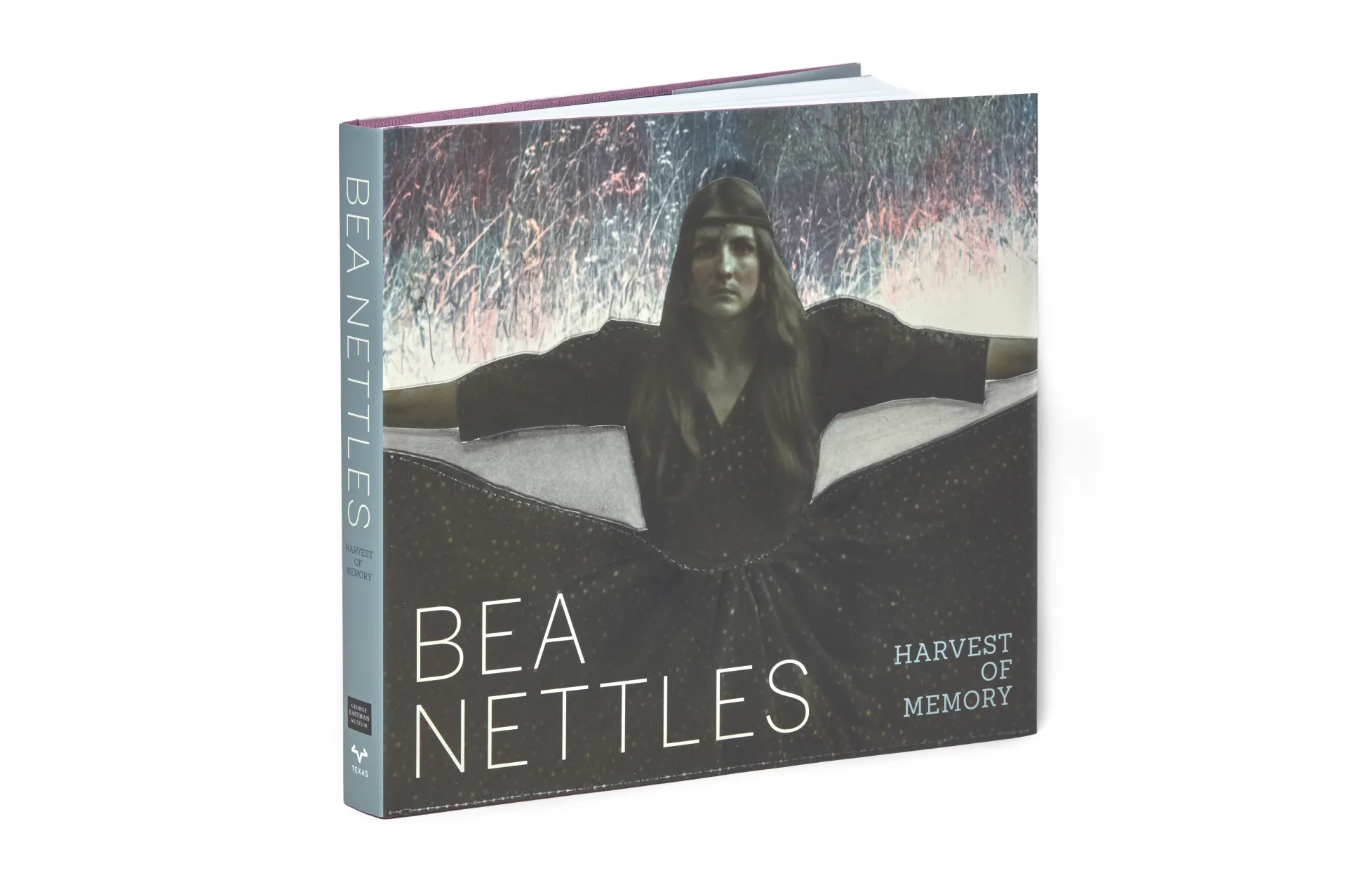 Cover of Bea Nettles books