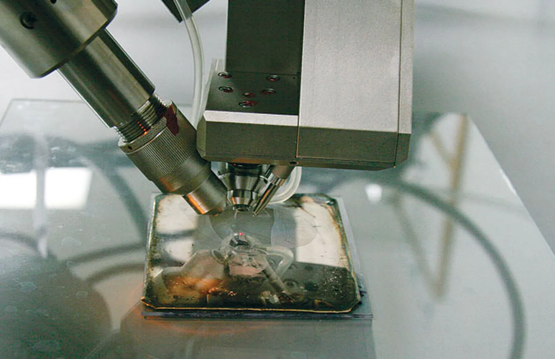 Microscope and photograph