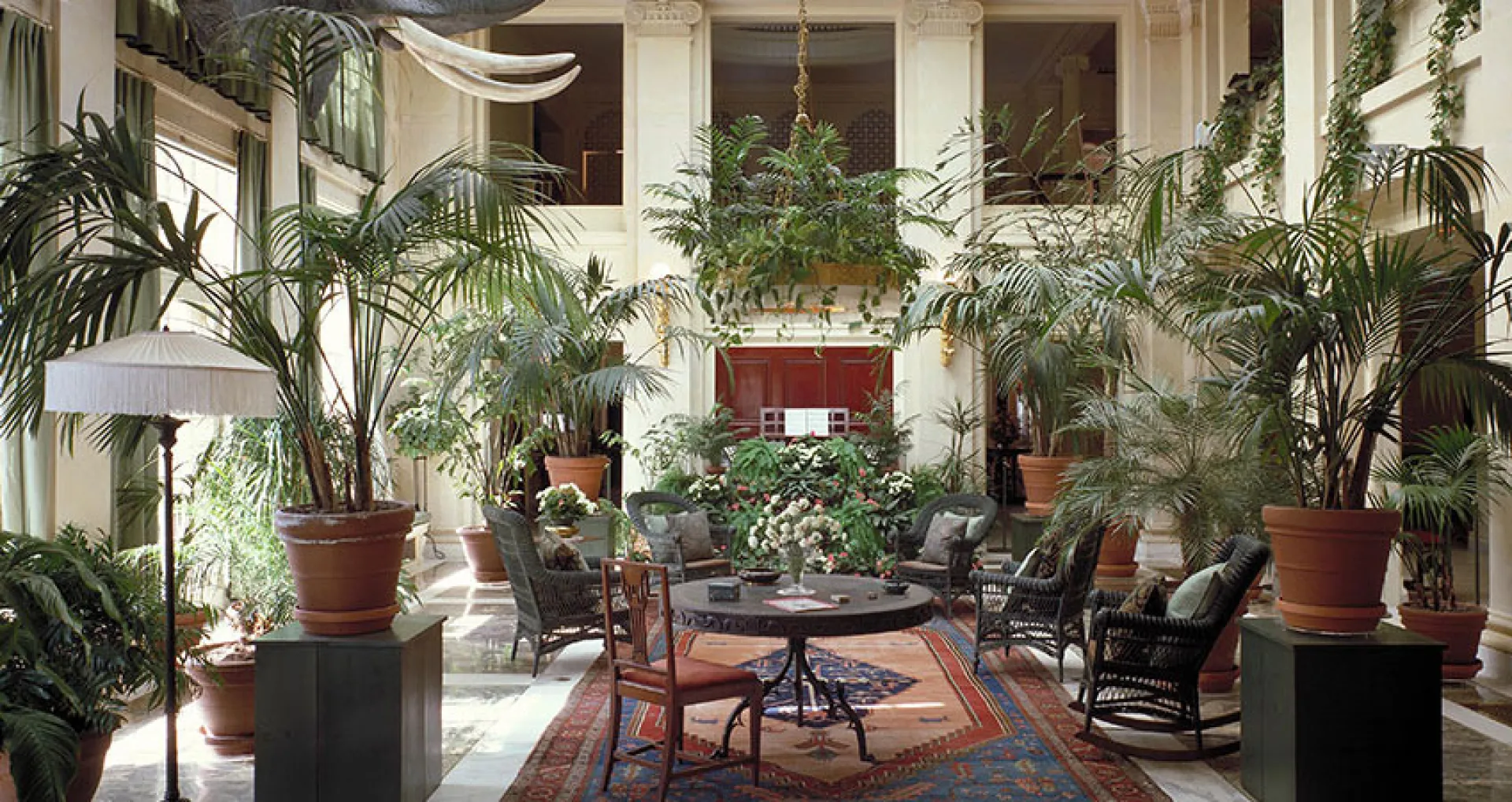 View of the Eastman Museum conservatory