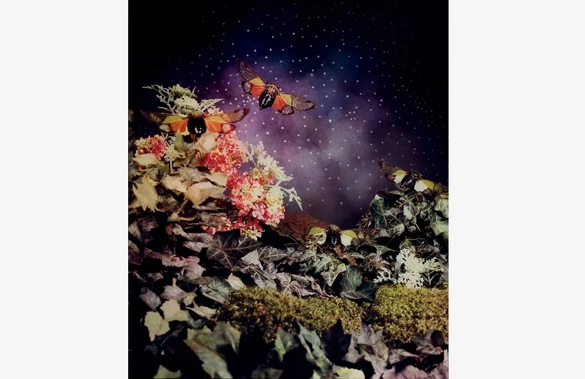 Photograph by Lori Nix