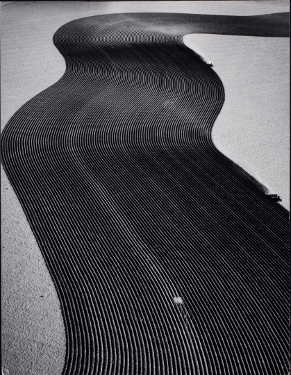 Margaret Bourke White (American, 1904–1971), Colorado Dust Bowl, 1954. Gelatin silver print. George Eastman Museum, museum accession, 1971. 