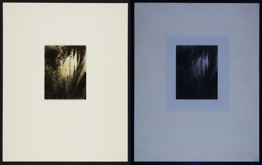 Work by Stieglitz