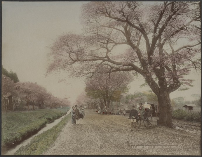 Photograph by Kusakabe Kimbei 