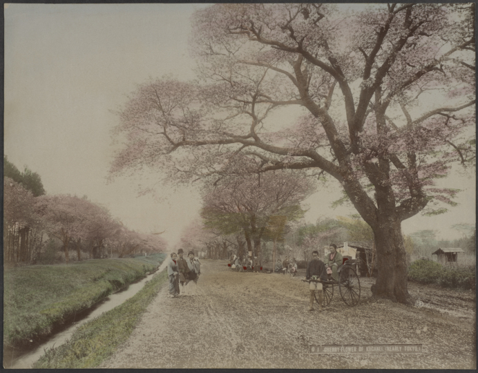 Photograph by Kusakabe Kimbei 