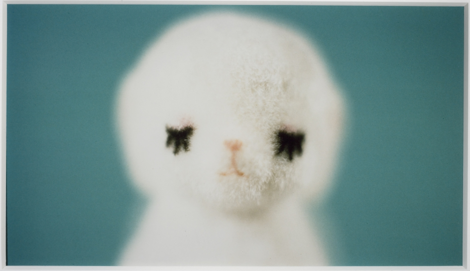 Sleeping Lamb