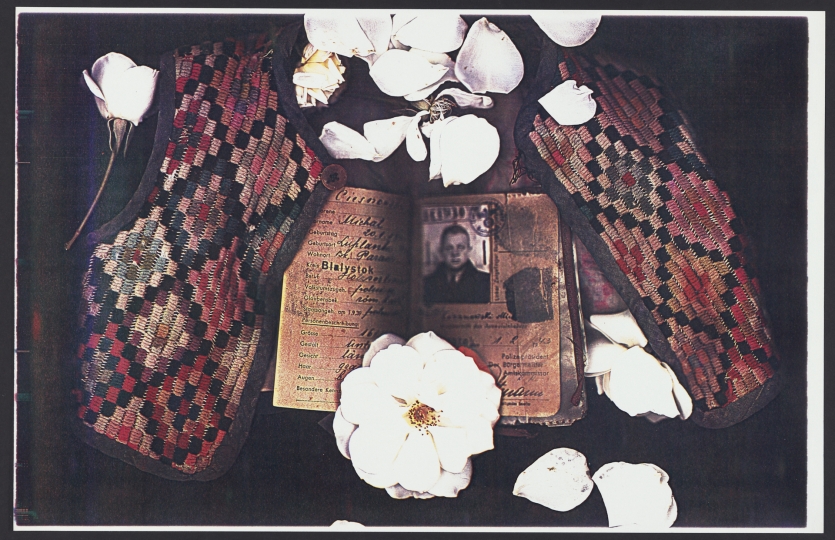 Photograph by Dina Dar