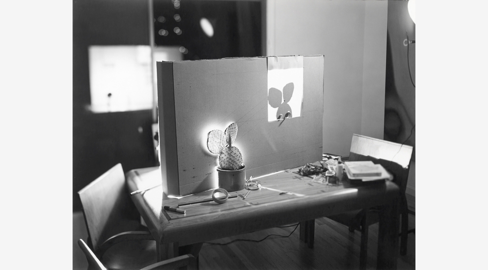 Robert Cumming: The Secret Life of Objects | George Eastman
