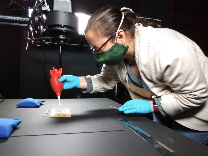 Mireya Salinas working on digitizing an image
