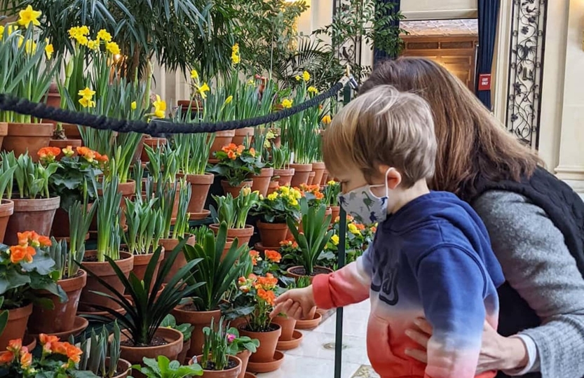 Child and parent looking at flowers