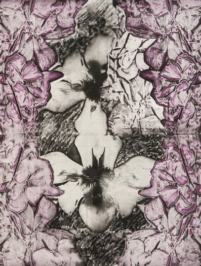 Symmetrical Drawing