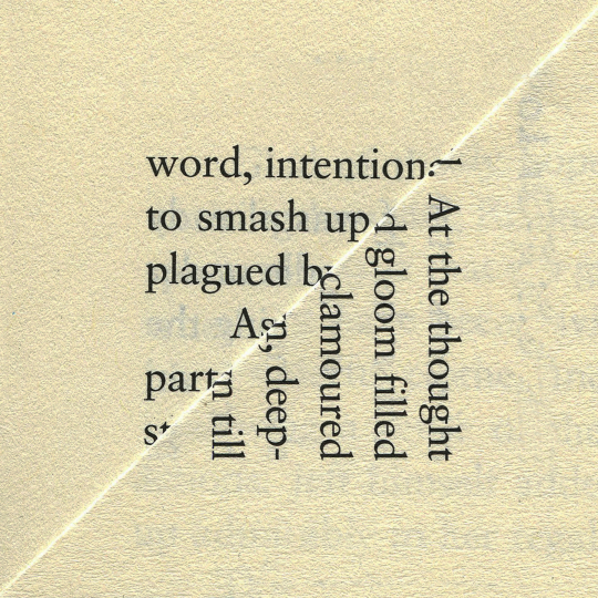 Word Intention from Dog Ear, 2014 by Erica Baum