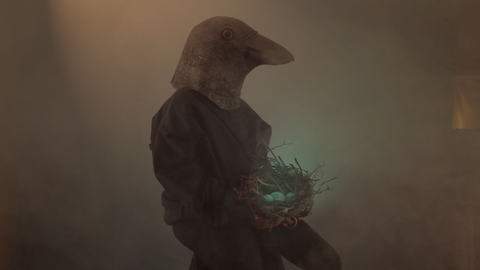 Cauleen Smith, Crow Requiem, HD film still