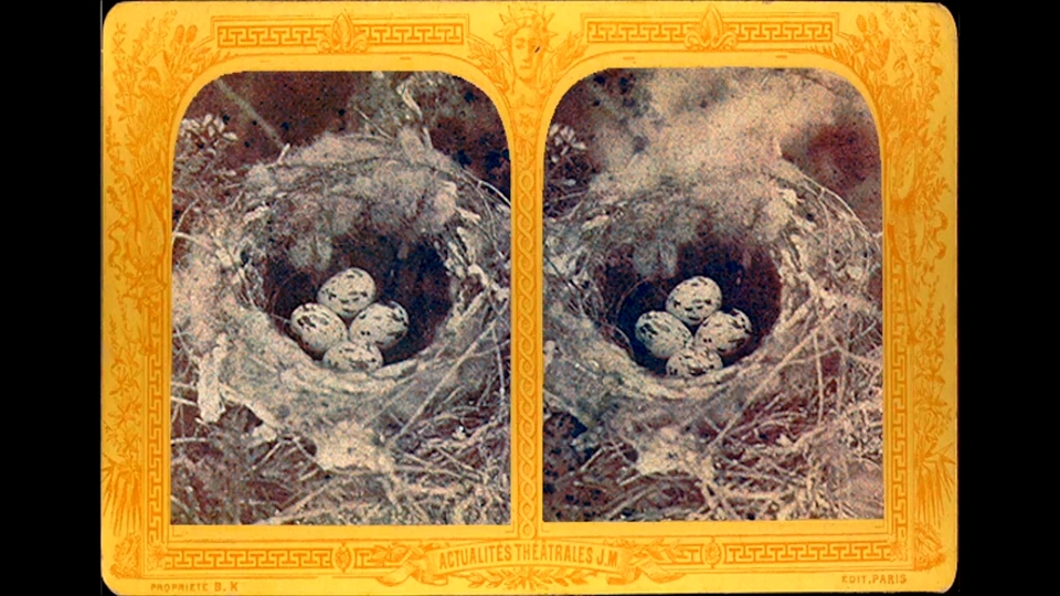 Cauleen Smith, Crow Requiem, 2016, HD film still
