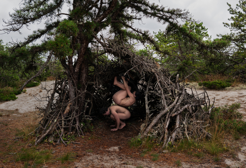 One body balances on another body inside a natural shelter made of twisted branches beneath a pine tree in a sandy forest clearing.