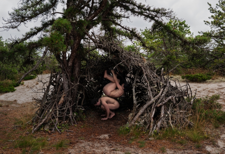 One body balances on another body inside a natural shelter made of twisted branches beneath a pine tree in a sandy forest clearing.