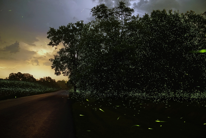 Still image from Curve the Night Sky.