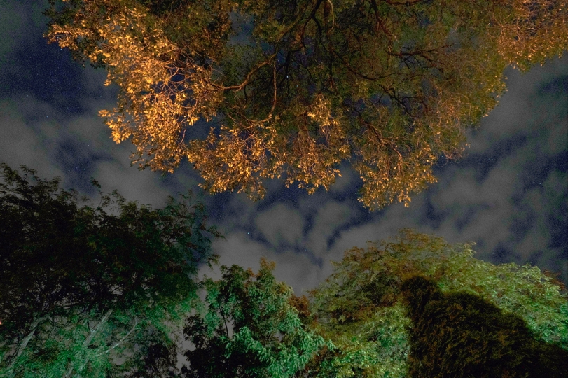 Still image from Curve the Night Sky. 