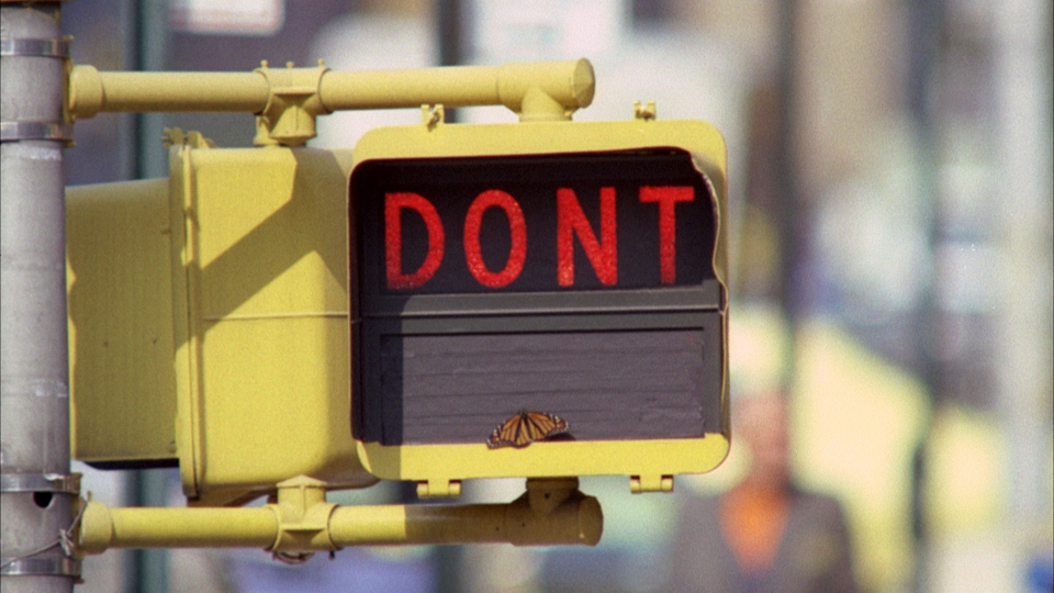 Still from Don't (Robin Lehman, 1974). George Eastman Museum. Gift of Robin Lehman. A traffic signal displays the word DONT in red letters. A butterfly is resting on the bottom edge of the sign, in a moment reminiscent of Robin Lehman’s evocative photography at the George Eastman Museum.
