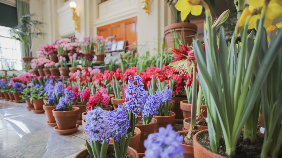 Photo of Dutch Connection, flowers on view throughout historic mansion