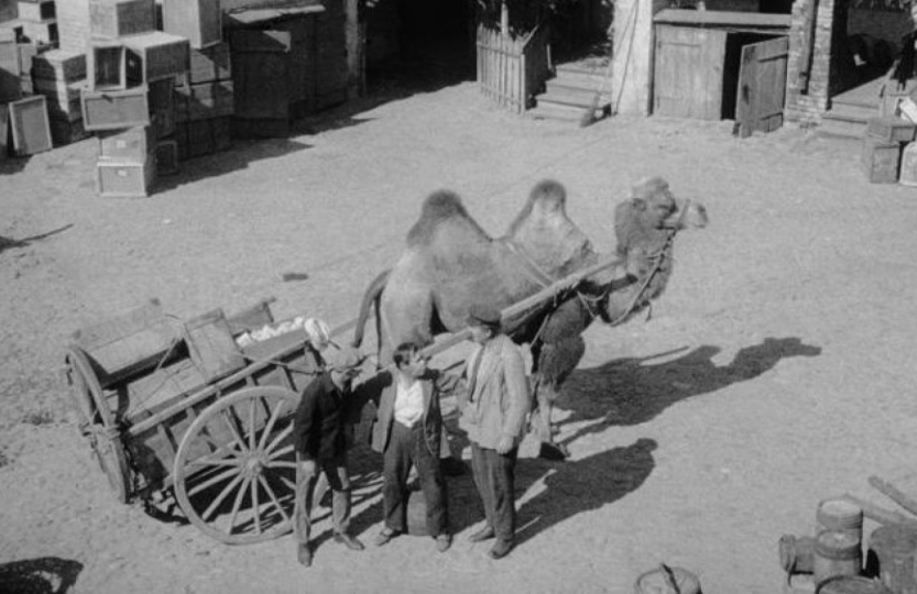 Still from A Familiar Face