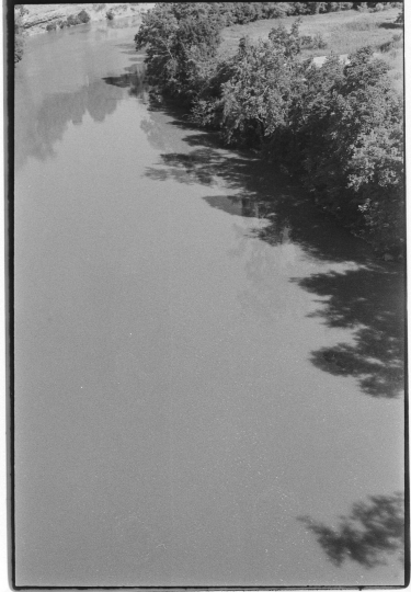 Vivian Rivers, Genesee River, July 2026. Image developed with Genesee River water and plants. 