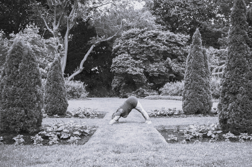 A person practices the downward-facing dog yoga pose on a lawn.