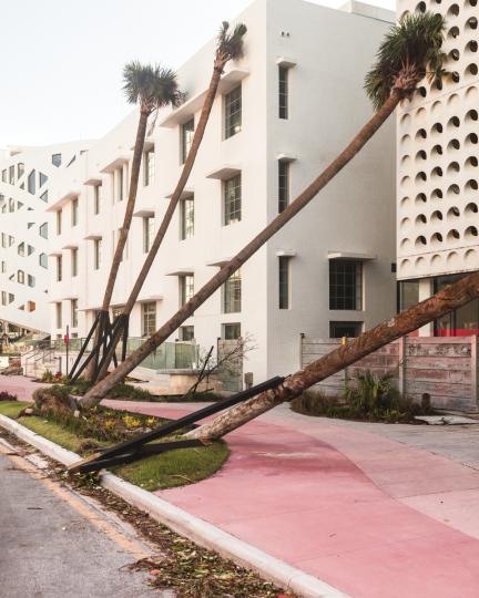 Four palm trees falling over into four-story building on a pink sidewalk