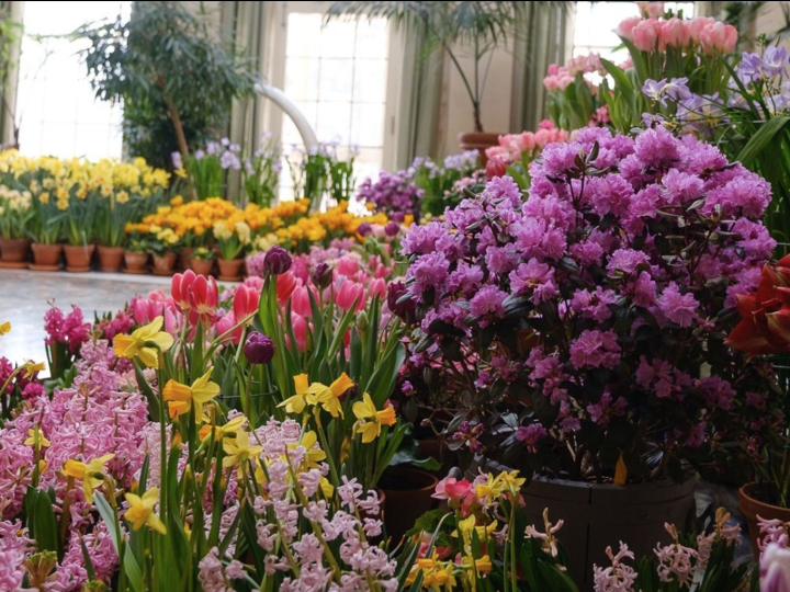 Flowers in the historic mansion for Dutch Connection