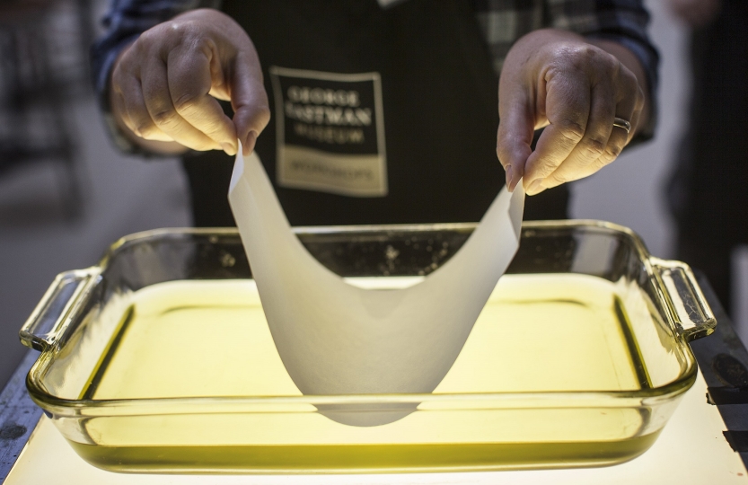 Preparing paper for albumen printing