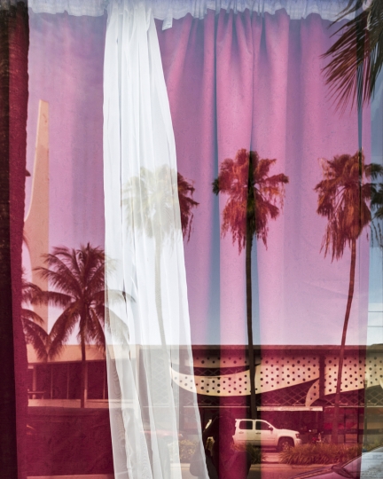 Reflection of palm trees in glass with curtains on other side of glass