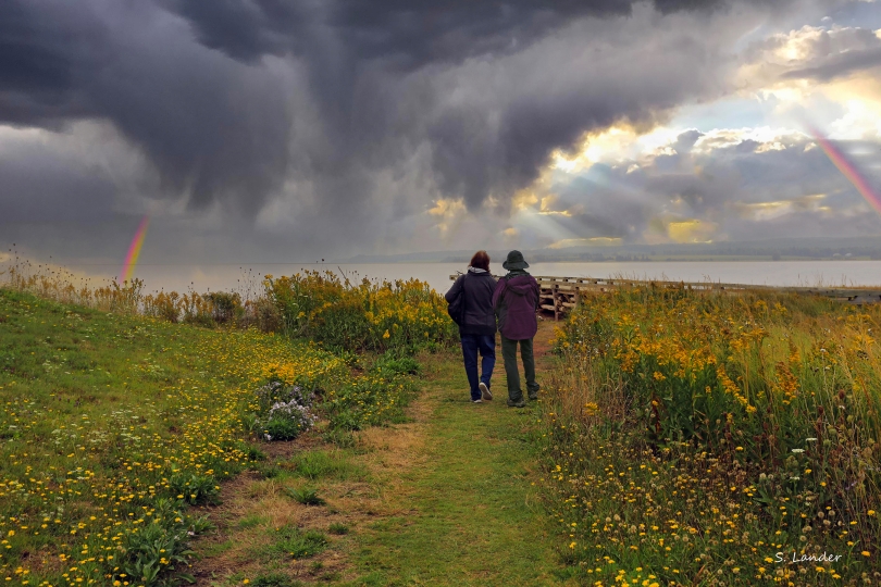 Two people walk hand-in-hand along a grassy path lined with wildflowers under a dramatic sky, with storm clouds, sunbeams, and rainbows over a distant body of water.