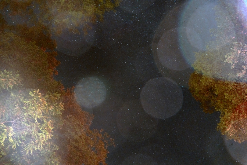 Still image from <em>The Summer Triangle</em>. 