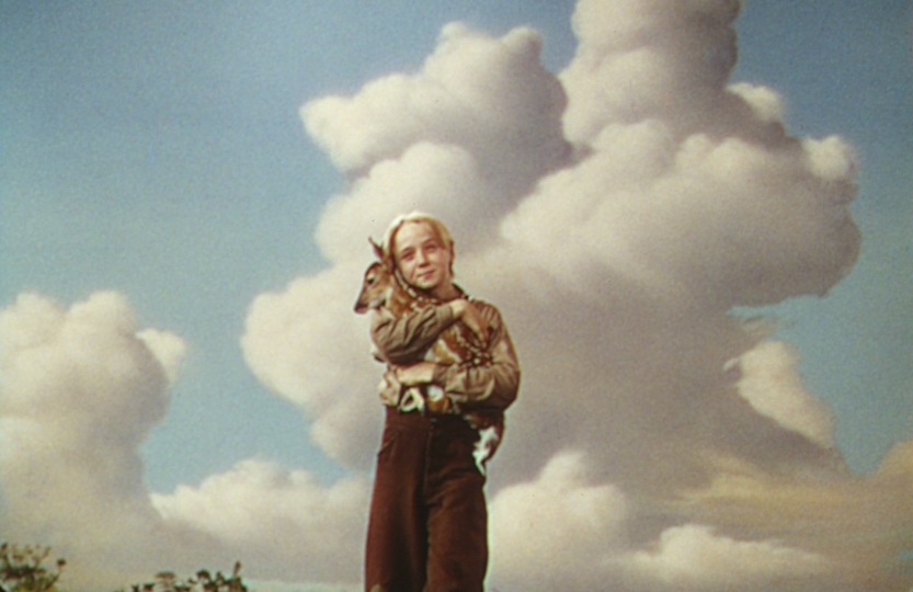 still from The Yearling