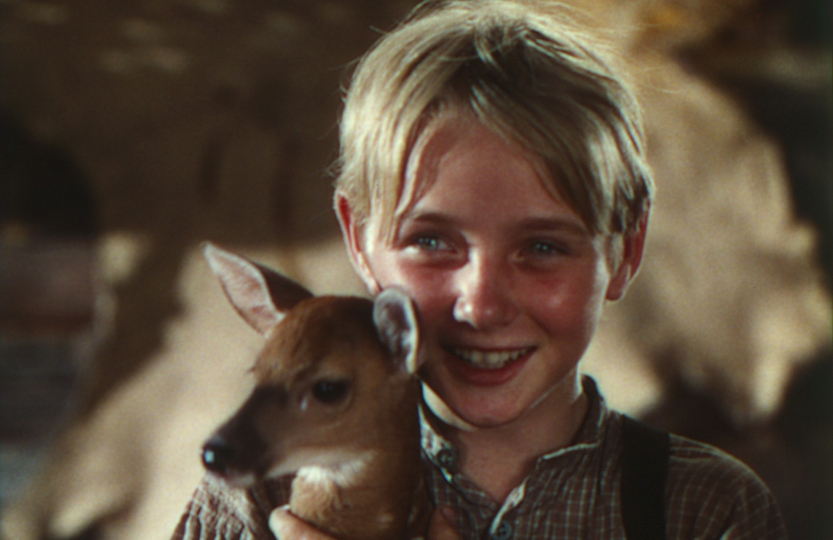 still from The Yearling