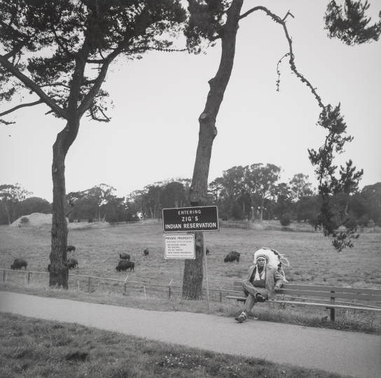 Golden Gate Park, Buffalo Paddock, 1997, by Zig Jackson
