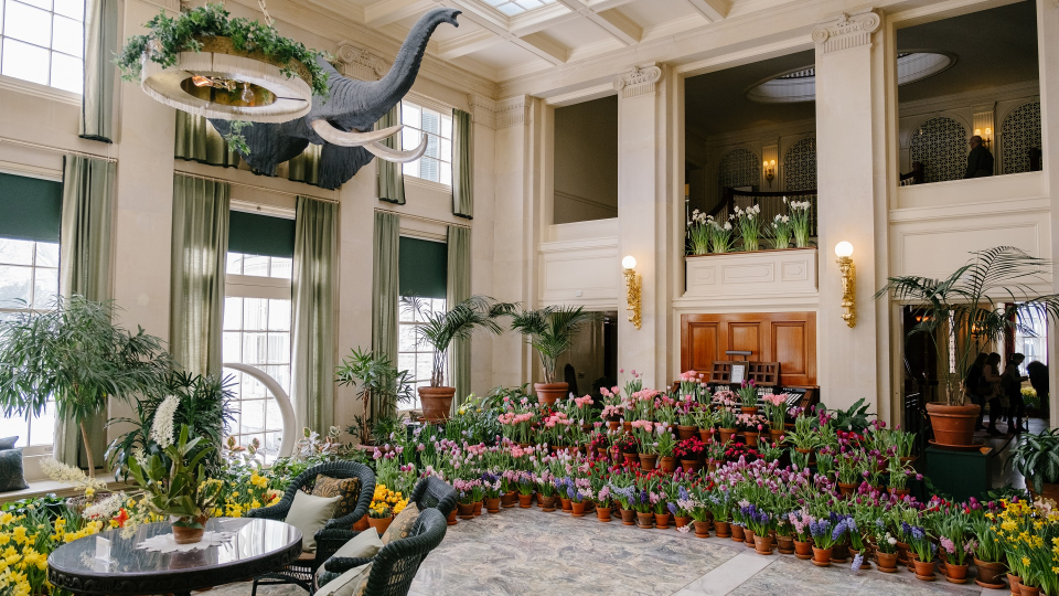 Photo of Dutch Connection, flowers on view throughout historic mansion