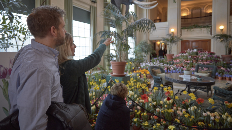 Photo of Dutch Connection, flowers on view throughout historic mansion