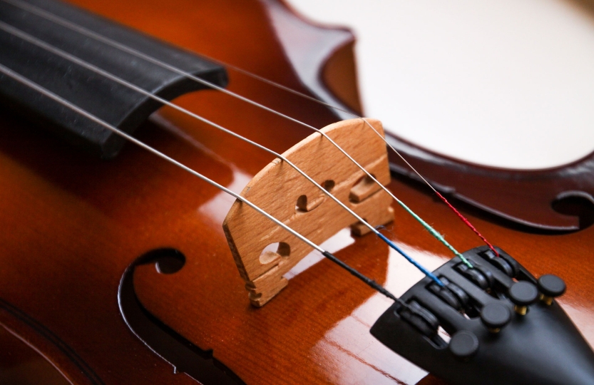 Violin