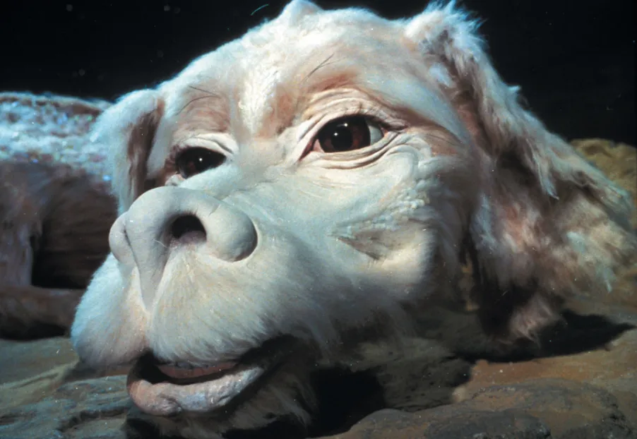 The Neverending Story | George Eastman Museum